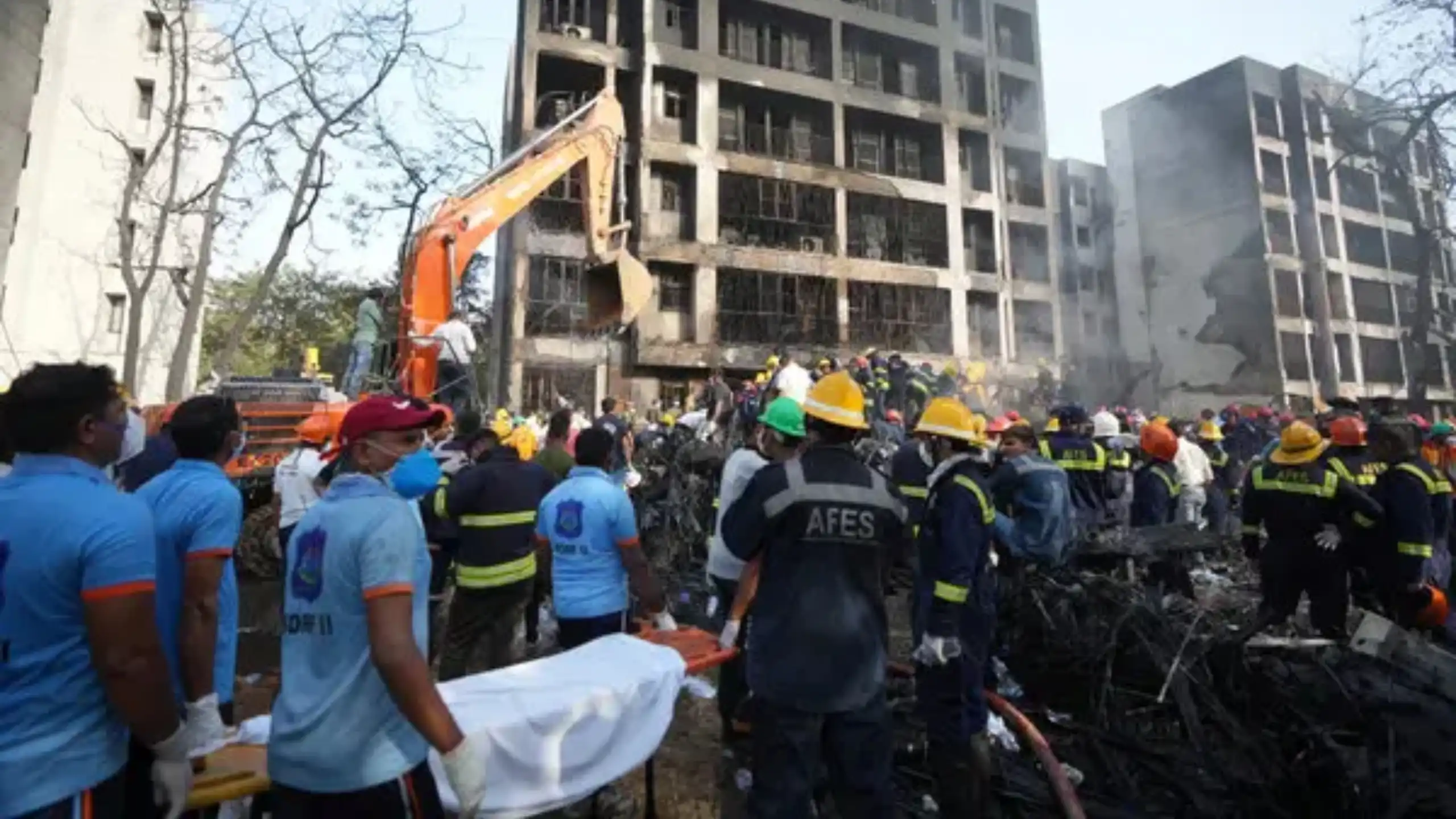 Air India Crash: Dreamliner Tragedy Leaves 240+ Dead